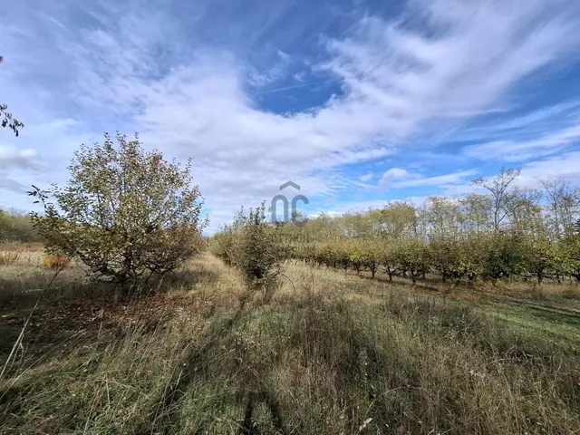 Eladó telek Dánszentmiklós 4061 nm