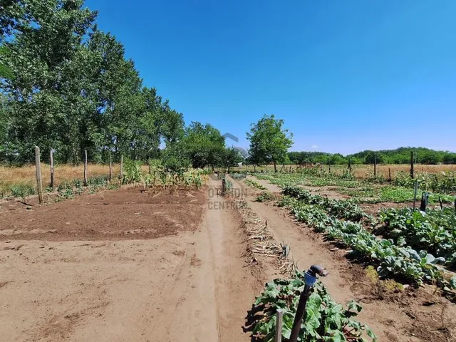 Eladó ház Albertirsa 87 nm