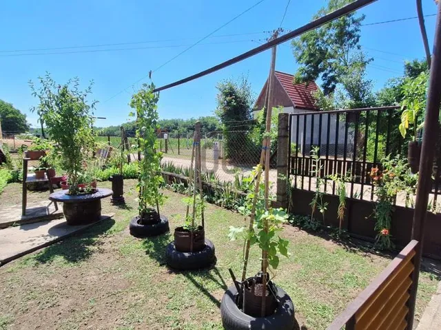 Eladó ház Albertirsa 87 nm