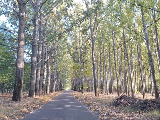 Eladó ház Csemő 88 nm