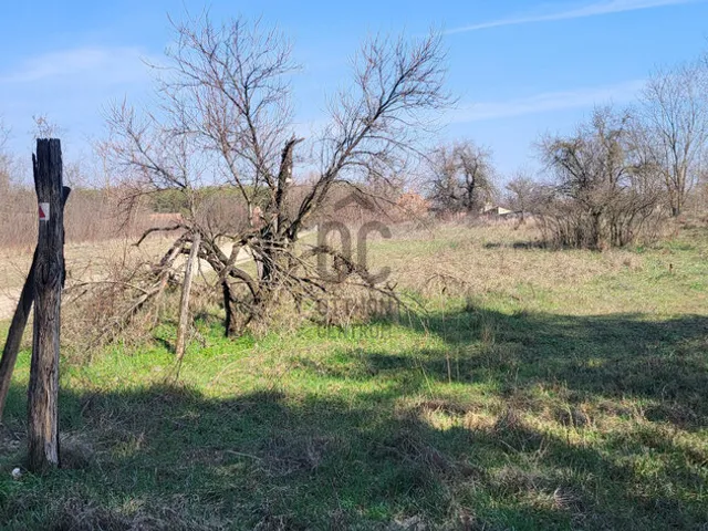 Eladó mezőgazdasági ingatlan Csévharaszt 2321 nm