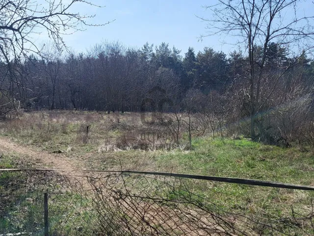 Eladó mezőgazdasági ingatlan Csévharaszt 2321 nm