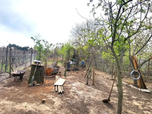 Eladó mezőgazdasági ingatlan Monor 877 nm