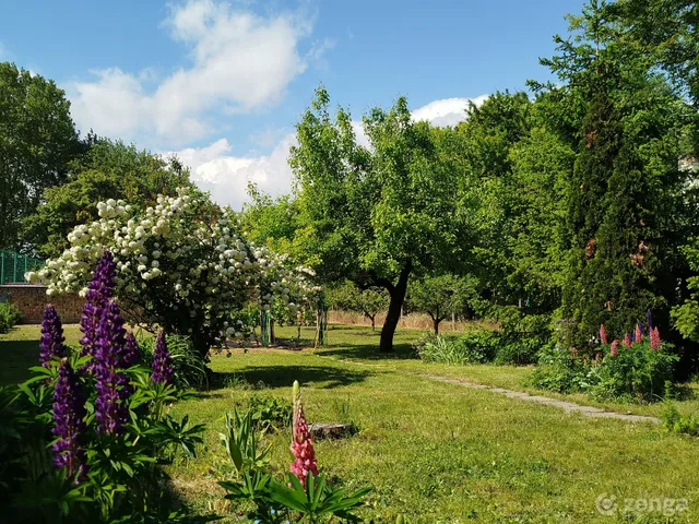 Eladó ház Székesfehérvár, Búrtelep 133 nm
