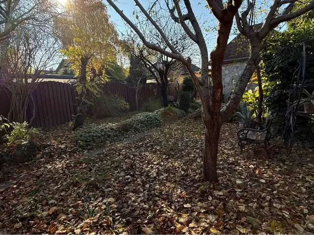 Kiadó ház Budapest XVI. kerület 100 nm