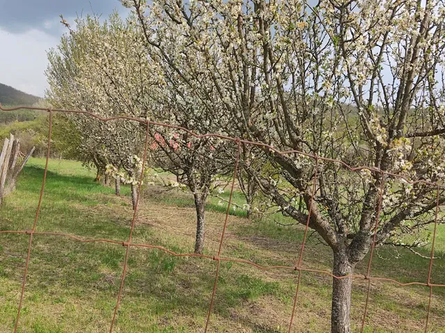 Eladó telek Alsópetény 1033 nm