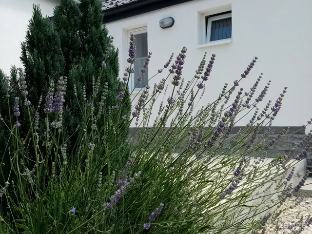 Kiadó ház Budaörs, Ürgésdűlő 30 nm