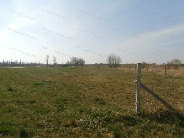 Eladó mezőgazdasági ingatlan Balatonboglár 10000 nm