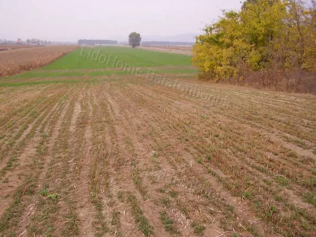 Eladó mezőgazdasági ingatlan Balatonkeresztúr 1 nm