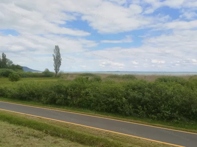 Eladó mezőgazdasági ingatlan Balatongyörök 2859 nm