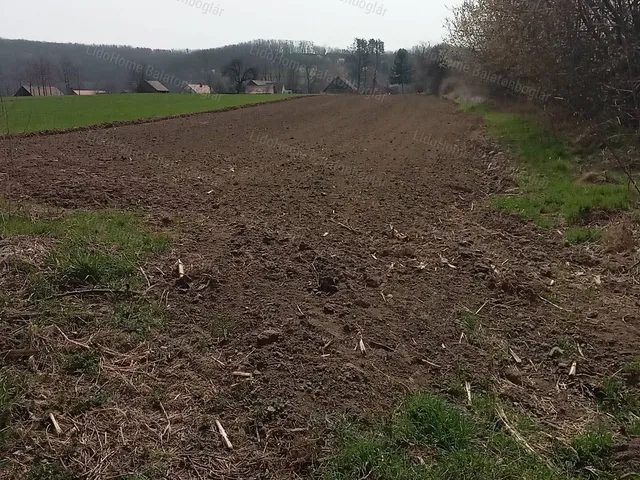 Eladó telek Gyugy 1798 nm