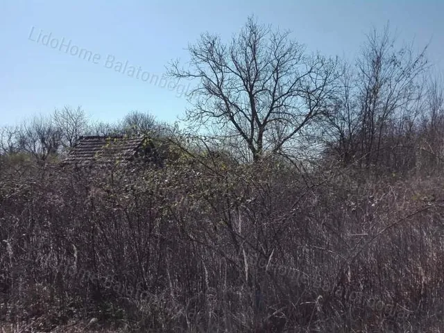 Eladó mezőgazdasági ingatlan Marcali, Horvátkút 3743 nm