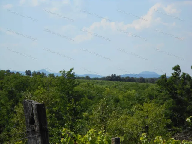 Eladó mezőgazdasági ingatlan Balatonlelle 4400 nm