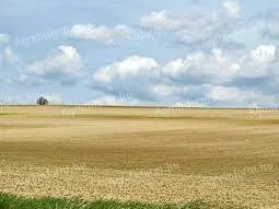 Eladó mezőgazdasági ingatlan Ordacsehi 44123 nm