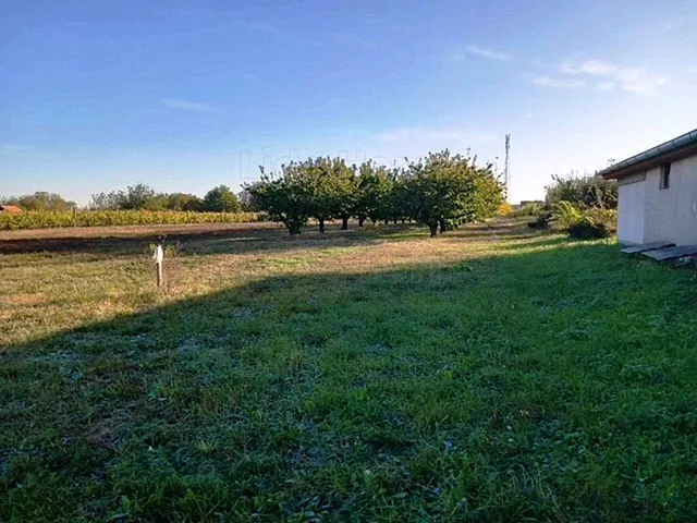 Eladó telek Balatonboglár 1284 nm