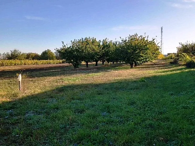 Eladó telek Balatonboglár 1284 nm