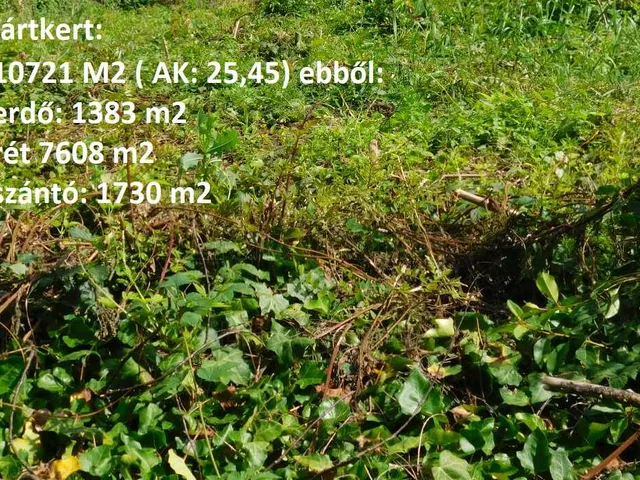 Eladó mezőgazdasági ingatlan Karád 10721 nm