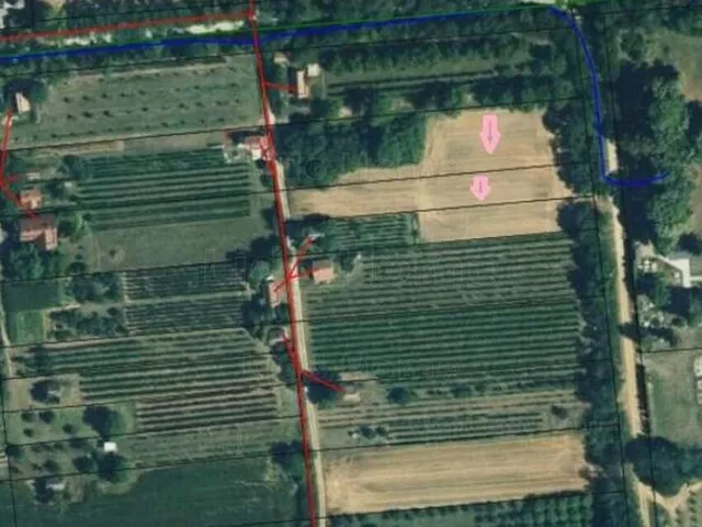 Eladó mezőgazdasági ingatlan Hács 3800 nm
