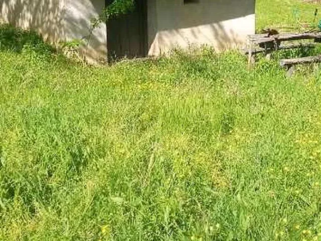 Eladó mezőgazdasági ingatlan Gamás 10 nm