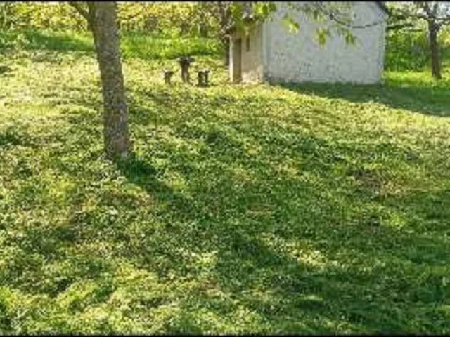 Eladó mezőgazdasági ingatlan Gamás 10 nm