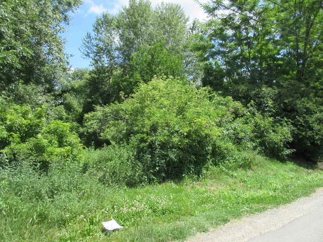 Eladó telek Nagycsepely 602 nm