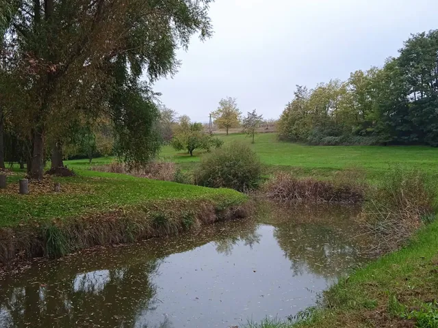 Eladó kereskedelmi és ipari ingatlan Látrány 700 nm