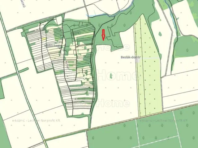 Eladó mezőgazdasági ingatlan Karád 2961 nm