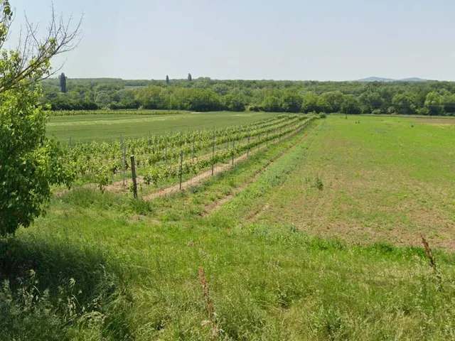 Eladó mezőgazdasági ingatlan Balatonboglár 5120 nm