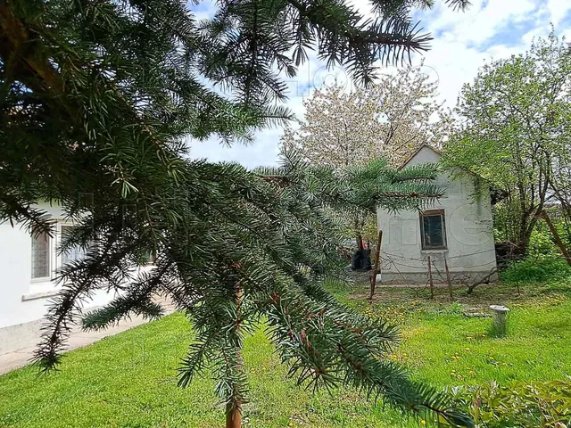 Eladó ház Balatonőszöd 100 nm