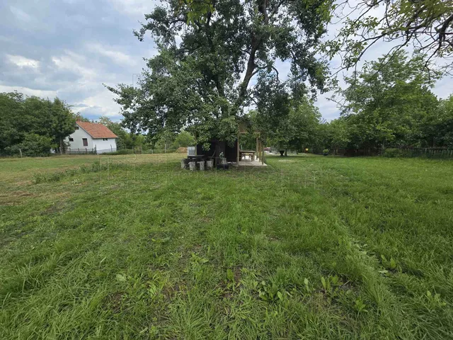 Eladó mezőgazdasági ingatlan Balatonlelle 3401 nm