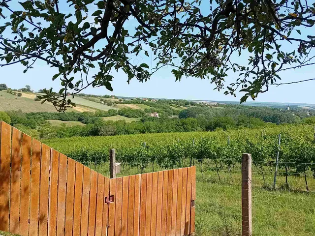 Kiadó ház Karád 70 nm