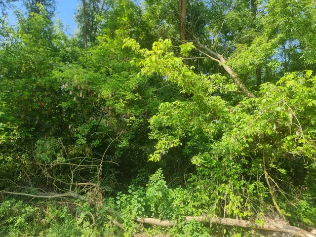Eladó telek Szőlősgyörök 6009 nm