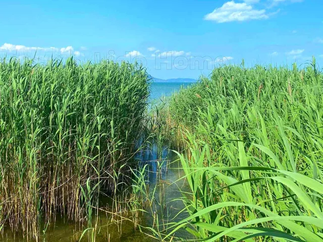 Eladó telek Balatonmáriafürdő 1032 nm