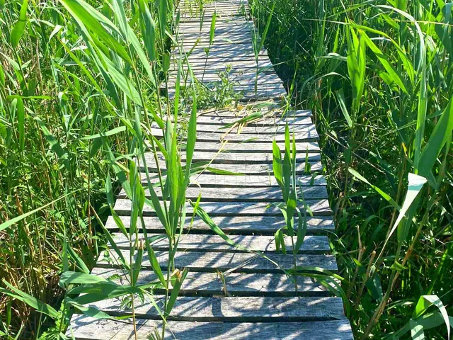 Eladó telek Balatonmáriafürdő 1032 nm