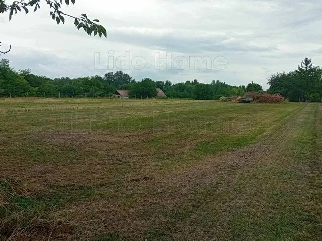 Eladó mezőgazdasági ingatlan Balatonboglár 2844 nm