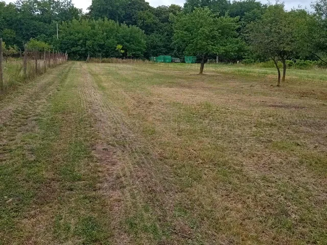 Eladó mezőgazdasági ingatlan Balatonboglár 2844 nm