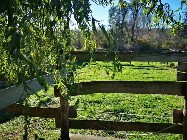 Eladó telek Andocs 1432 nm