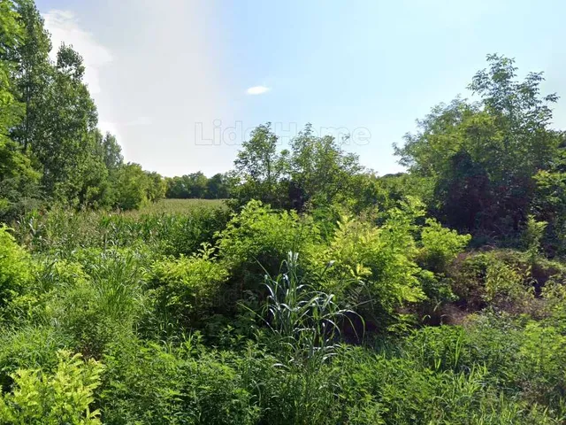 Eladó telek Ordacsehi 7331 nm