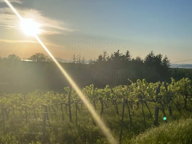 Eladó mezőgazdasági ingatlan Balatonlelle 5968 nm
