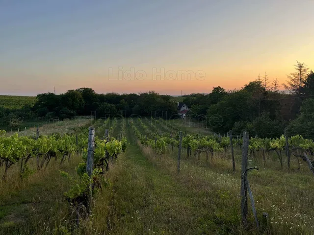 Eladó mezőgazdasági ingatlan Balatonlelle 5968 nm