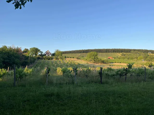 Eladó mezőgazdasági ingatlan Balatonlelle 5968 nm