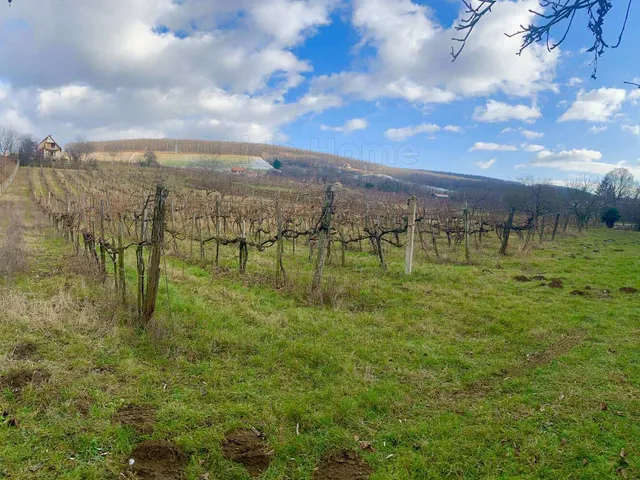 Eladó mezőgazdasági ingatlan Balatonlelle 5968 nm