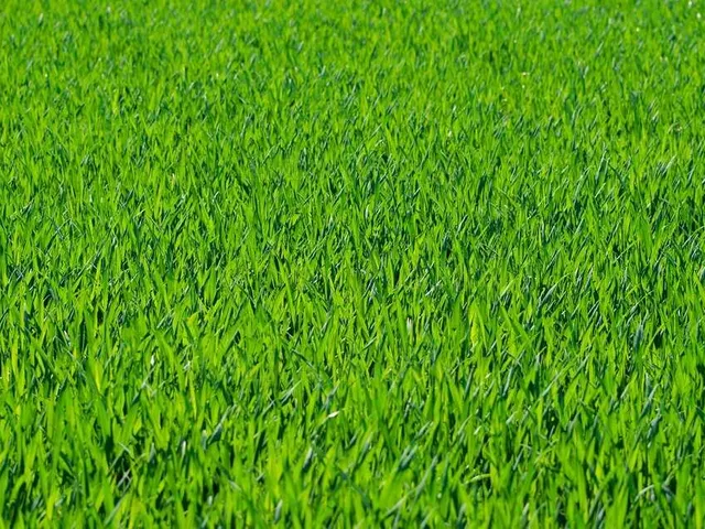 Eladó telek Gamás 2990 nm