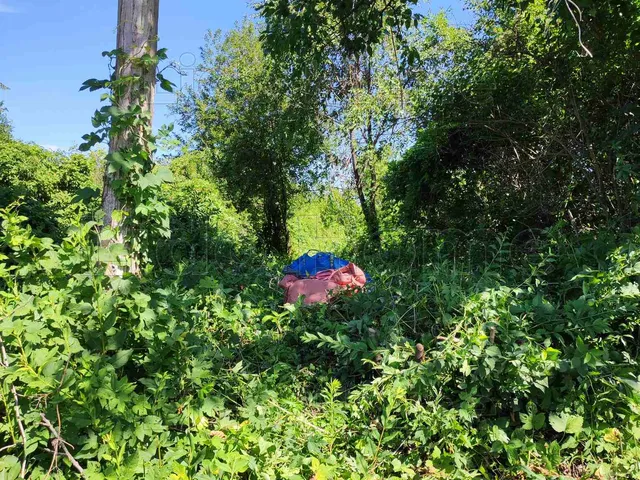 Eladó telek Karád 3665 nm