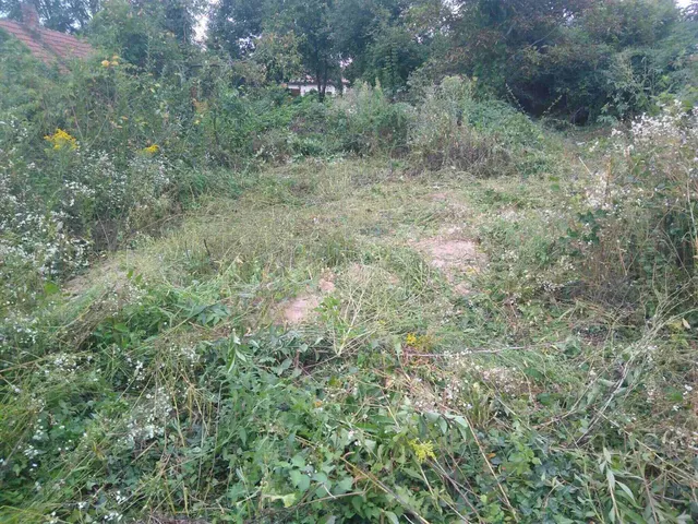 Eladó telek Karád 3665 nm