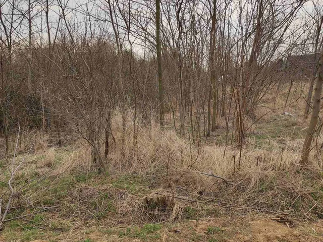 Eladó telek Karád 3665 nm