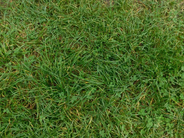 Eladó telek Lengyeltóti 987 nm