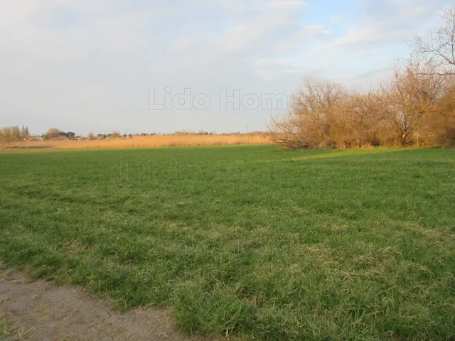 Eladó mezőgazdasági ingatlan Balatonlelle 9078 nm