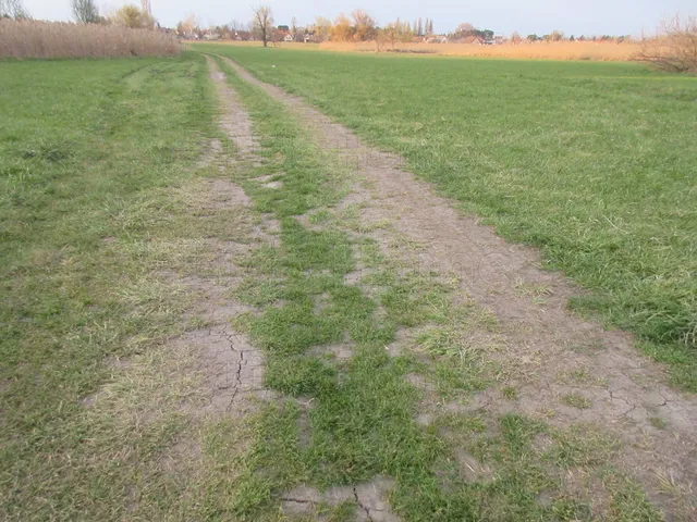 Eladó mezőgazdasági ingatlan Balatonlelle 9078 nm