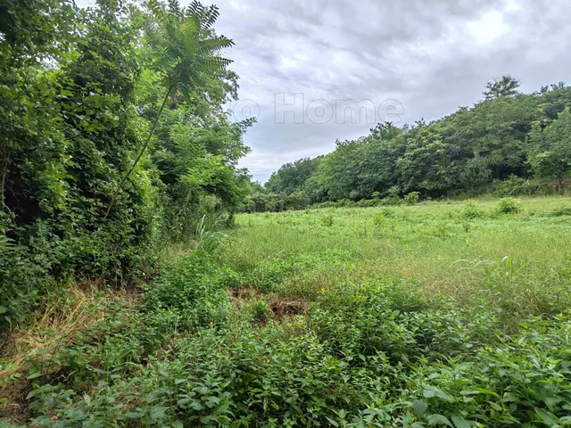 Eladó mezőgazdasági ingatlan Látrány 13840 nm